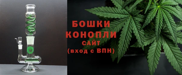 гидра Мегион