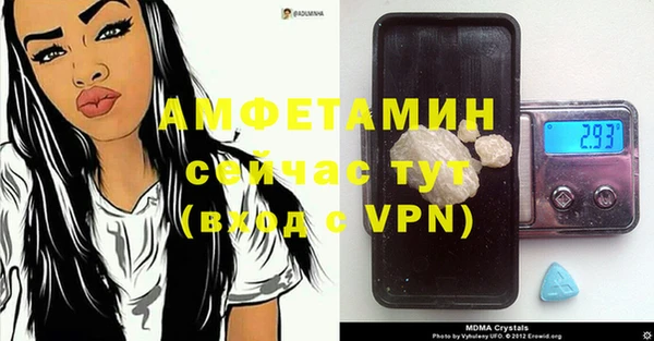гидра Мегион