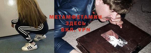 гидра Мегион